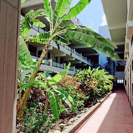 Maravilla 140 M2 - 3 Bedrooms, Heated Pool Lägenhet *